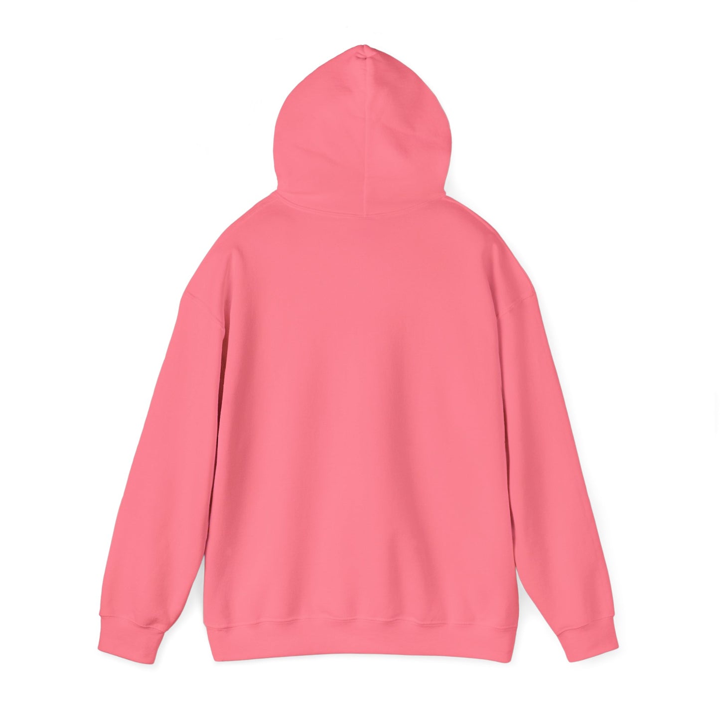 Unisex Heavy Blend™ NonBiski Hoodie